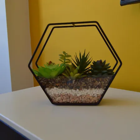 Apartment Diamond Tropical